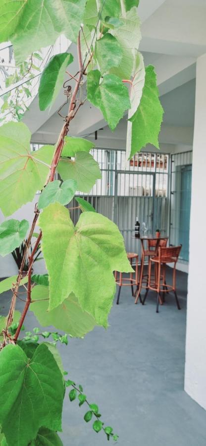 Apartamento Vila Aconchego Salmao 살바도르 외부 사진